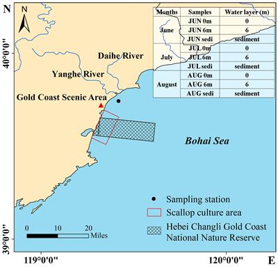 Succession of phytoplankton communities from macro-scale to micro-scale in coastal waters of Qinhuangdao, China